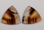 Montana Agate