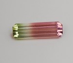 TOURMALINE - Bicolor