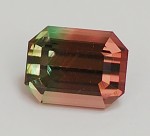TOURMALINE - Bicolor